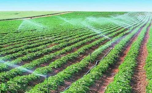 干女人b亚洲农田高 效节水灌溉